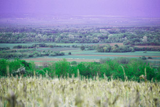 REGION BRANIČEVO PODUNAVLJE